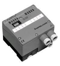 Pepperl+Fuchs. AS-Interface gateway VAG-PB-G4F-R4 