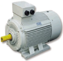 Асинхронные двигатели AC Motoren ACM 355 L-2/HE